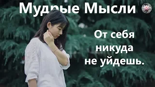 Потрясающие Цитаты про Жизнь | Жемчужины Мудрых Мыслей