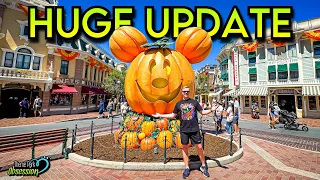 Huge Disneyland Updates! Halloween, NEW Haunted Mansion Expansion & More!