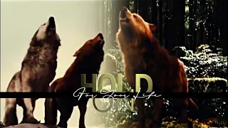 Twilight wolves // Hold On For Your Life