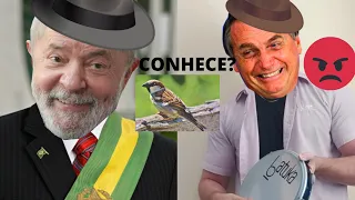 PEGADINHA DEIXOU JAIR NERVOSO - PROSA DE EMBOLADORES - LULA X BOLSONARO