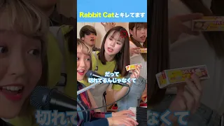 持ち曲なのにハモリに回されてキレてます！ with Rabbit Cat #キレてます #ラビキャ #遠坂めぐ