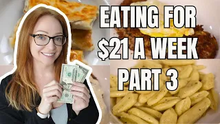 Eating for $21 a Week Days 6 & 7