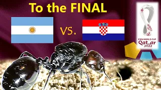 World Cup 2022 Predictions ⚽ Argentina vs Croatia 🐜 Guessing Queen Ant 🐜 Semi-Finals