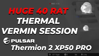 Huge Thermal Ratting Session with Tim on Pulsar Thermion 2 XP50 PRO