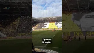 Die Fans von Dynamo Dresden ehren Dixie Dörner! #sgd #dynamodresden