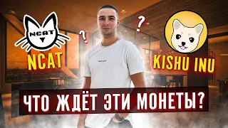 Что ждёт монеты NCAT и KISHU INU?