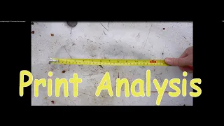 My Bigfoot Story Ep.  53 - Foot Prints In The Snow Analysis