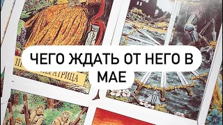 4 короля. Чего ждать от него в мае?