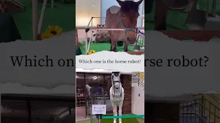 Which is the horse robot?:หุ่นยนต์ม้าตัวไหน? #osaka #japan