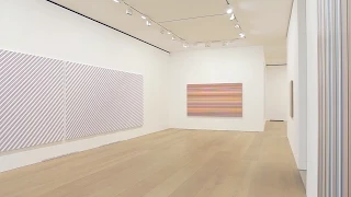 Bridget Riley The Stripe Paintings 1961-2014