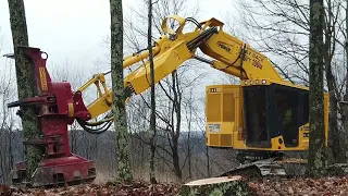 Feller Buncher Massive Heavy Machinery Cutting Down Trees In A Forest