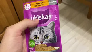 Кот пробует корм Whiskas / Жидкий корм Вискас паштет с курицей и индейкой