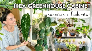 Ikea Greenhouse Cabinet Updates 🌱 WHAT WORKED + WHAT DIDN'T