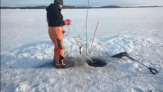 Talviverkoilla Pielisellä 26.1.24.  Jata 27, verkko mutkalla ja jupatuksia