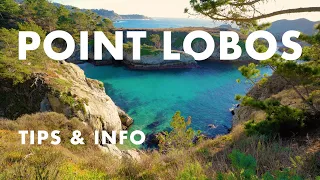 Hiking Entire Point Lobos Trail Loop near Monterey, California