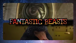 Fantastic Beasts and where to find them(2016)-The Niffler bank Robbery scene reverse #Movieclips