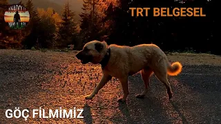 TRT Belgesel ile göç yolculuğumuz milyonlara ulaştı