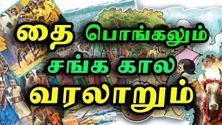 தை பொங்கலும் தெரியாத வரலாறும் | History of Thai Pongal | Tamil History | Tamil Pokkisham