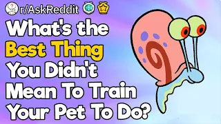 What's the Best Thing You Didn't Mean To Train Your Pet To Do?