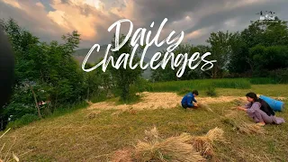 7 Days of Daily Vlogging: A Challenge to Test our Creativity!
