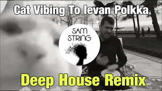 Cat Vibing To Ievan Polkka (SAMString Remix)