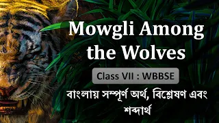 Mowgli Among the Wolves || Rudyard Kipling || Meaning & Explanation in Bengali #Class VII