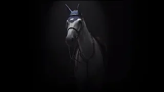 Cheap Thrills/equestrian music video (Nicola&Olivier Philippaerts)