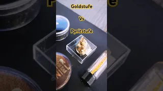 Was ist der Unterschied zwischen Pyrit und Gold? #goldwaschen #gold #mineraliensuche