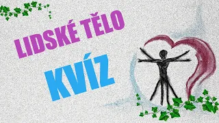 Kvíz: LIDSKÉ TĚLO / 20 otázek