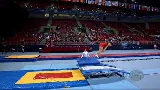 GEENS Wannes (BEL) - 2017 Trampoline Worlds, Sofia (BUL) - Qualification Double Mini Routine 1