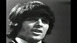 The Beau Brummels  Just a Little (Edited HQ)