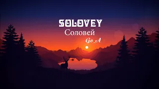 Соловей / Solovey - Go_A  (Vietnamese + English translation) Ukraine -Eurovision 2020