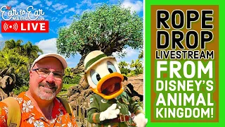 🔴 LIVE - Disney’s Animal Kingdom - Disney World Rope Drop Livestream 3/7