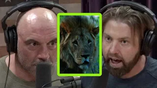 INSANE Lion Story w/ Forrest Galante