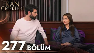 Kan Çiçekleri 277. Bölüm