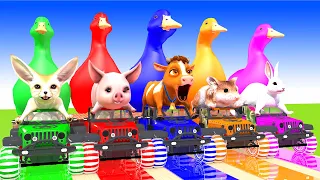 5 Giant Duck, Monkey, chicken, Fox, Piglet, Cow , Mouse , Rabit Transfiguration funny animal 2023