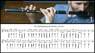 Tuto Irish Flute - The Ballydesmond #1 (Polka Amin)