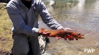 Mountain Lakes Fishing