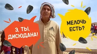 Как обманывают туристов? Развод и лохотрон в Египте. Полезное видео. #24 GO в Египет.