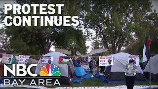 Pro-Palestine demonstrators continue to protest at Stanford