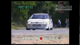 Rally Limone Piemonte 1991, PS1 by Archivio Pro-Bike.