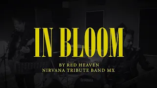 In Bloom Cover - Red Heaven, Nirvana Tribute MX