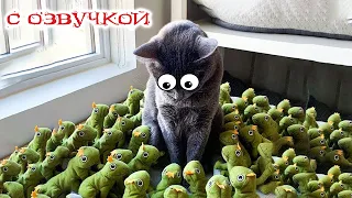 ПРИКОЛЫ С КОТАМИ! СМЕШНЫЕ ЖИВОТНЫЕ - С ОЗВУЧКОЙ! СМЕШНЫЕ Коты и Собаки! ДО СЛЁЗ!