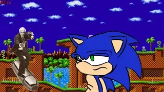 Ⓜ Sonic The Naked Hedgehog — Walkthrough