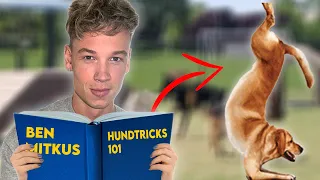 BEN MITKUS HUND-TRICKS