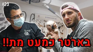 בארטר כמעט מת!! (מצאו את הקורקינטים!!)