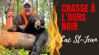 Chasse à l’ours noir 2023 (Bear hunting)