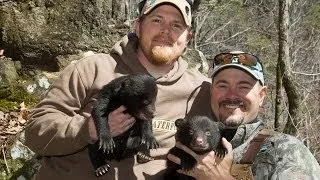 Arkansas Black Bears