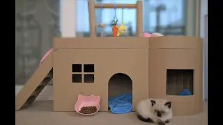 DIY | Amazing Kitten Cat House from Cardboard