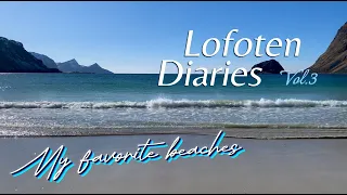 I think I like this little life | Lofoten Diaries